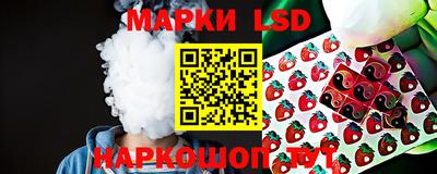 крисы Кунгур