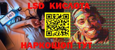 крисы Кунгур