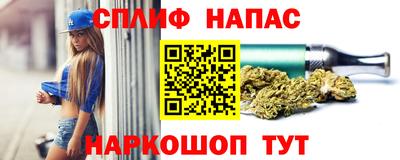 крисы Кунгур