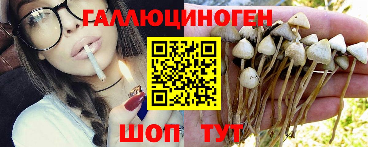 Псилоцибиновые грибы Magic Shrooms  Вход с VPN  Чайковский 